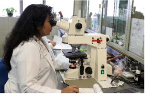 Person looking through a microscope to simulate investigation